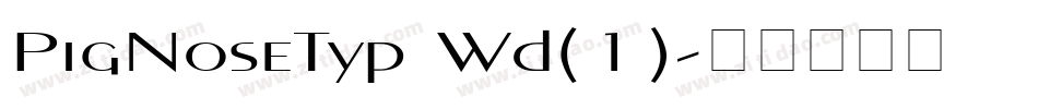 PigNoseTyp Wd(1)字体转换